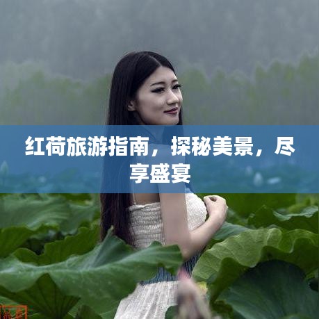 红荷旅游指南，探秘美景，尽享盛宴