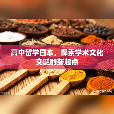 高中留学日本，探索学术文化交融的新起点