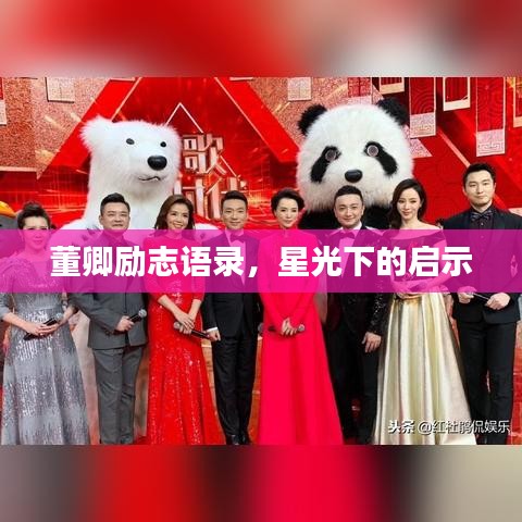 董卿励志语录,星光下的启示