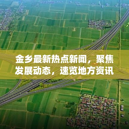 金乡最新热点新闻，聚焦发展动态，速览地方资讯