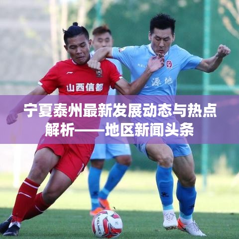 宁夏泰州最新发展动态与热点解析——地区新闻头条