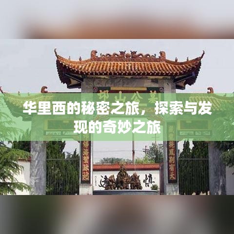华里西的秘密之旅，探索与发现的奇妙之旅