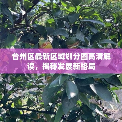 台州区最新区域划分图高清解读,揭秘发展新格局