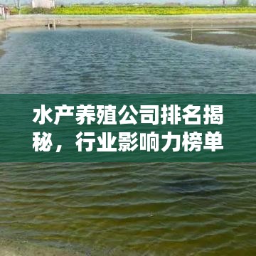 水产养殖公司排名揭秘，行业影响力榜单，引领行业潮流！