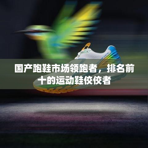 国产跑鞋市场领跑者,排名前十的运动鞋佼佼者