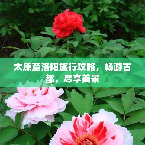 太原至洛阳旅行攻略,畅游古都,尽享美景