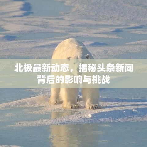 北极最新动态，揭秘头条新闻背后的影响与挑战