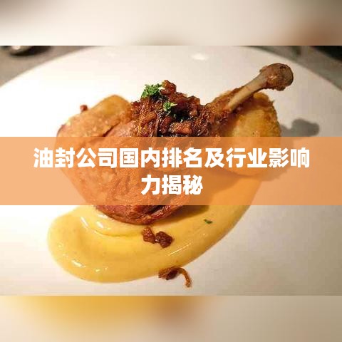 油封公司国内排名及行业影响力揭秘