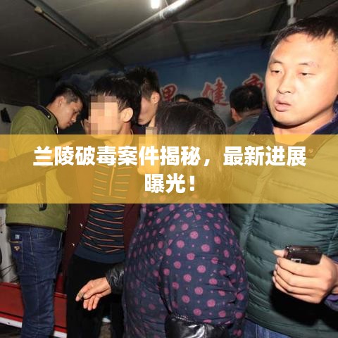 兰陵破毒案件揭秘，最新进展曝光！
