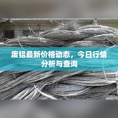 废铝最新价格动态，今日行情分析与查询