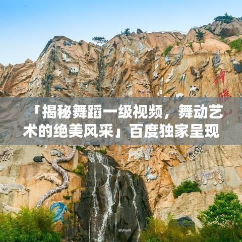 「揭秘舞蹈一级视频,舞动艺术的绝美风采」百度独家呈现