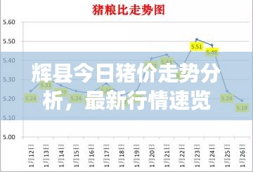 辉县今日猪价走势分析，最新行情速览