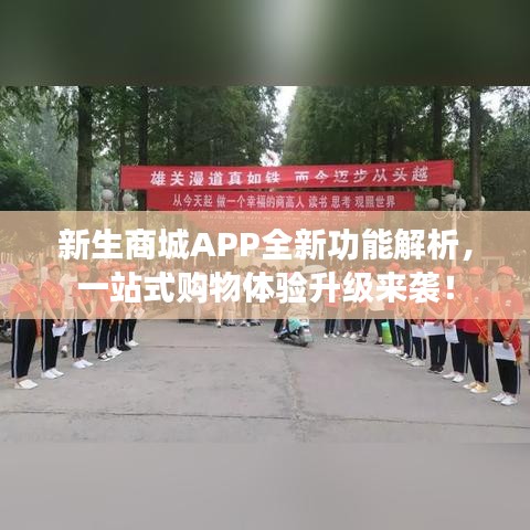 新生商城APP全新功能解析,一站式购物体验升级来袭!