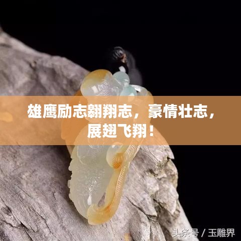 雄鹰励志翱翔志，豪情壮志，展翅飞翔！