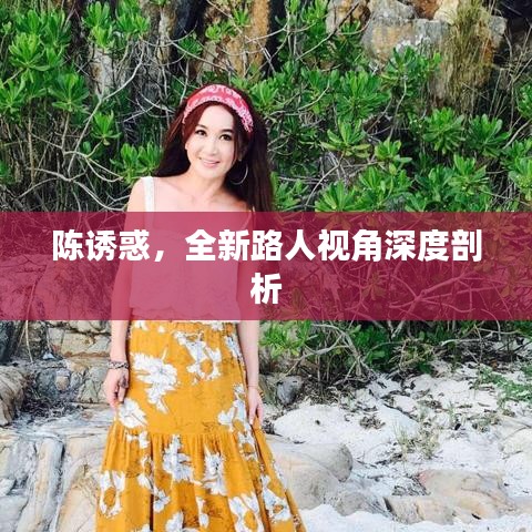 陈诱惑,全新路人视角深度剖析