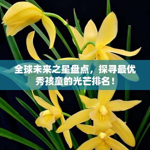 全球未来之星盘点，探寻最优秀孩童的光芒排名！