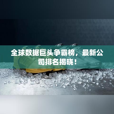 全球数据巨头争霸榜,最新公司排名揭晓!