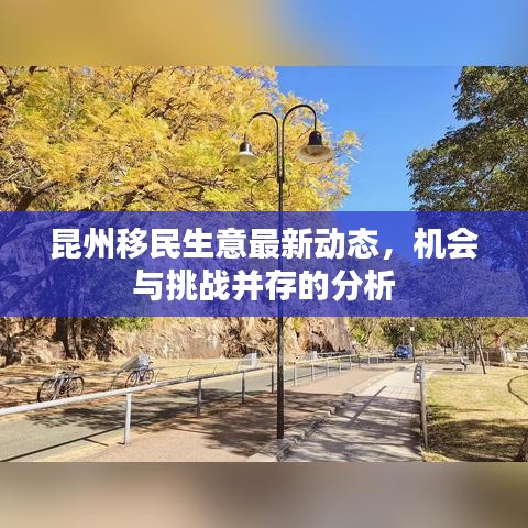 昆州移民生意最新动态，机会与挑战并存的分析