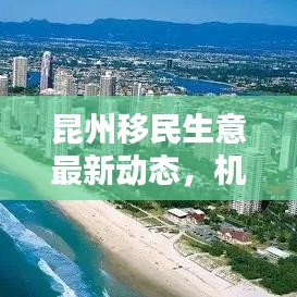 昆州移民生意最新动态,机会与挑战并存的分析