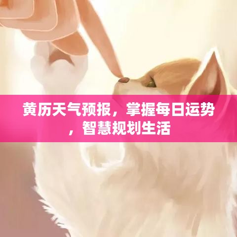 秀外慧中 第4页