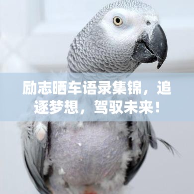 励志晒车语录集锦,追逐梦想,驾驭未来!