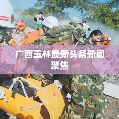广西玉林最新头条新闻聚焦