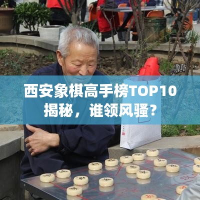 西安象棋高手榜TOP10揭秘,谁领风骚?