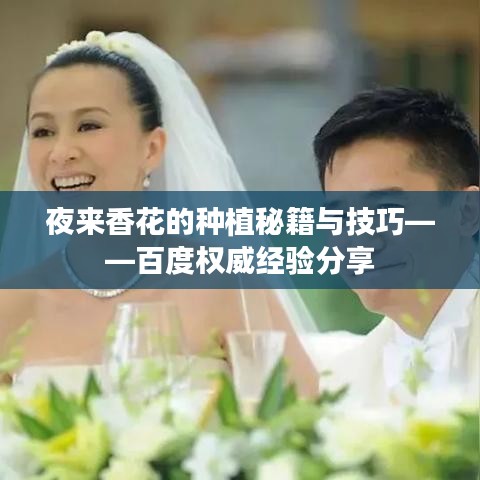 夜来香花的种植秘籍与技巧——百度权威经验分享