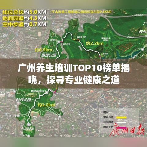 广州养生培训TOP10榜单揭晓，探寻专业健康之道