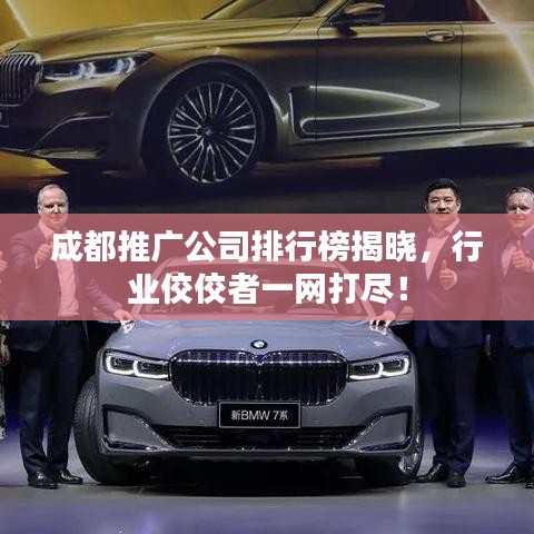 成都推广公司排行榜揭晓,行业佼佼者一网打尽!