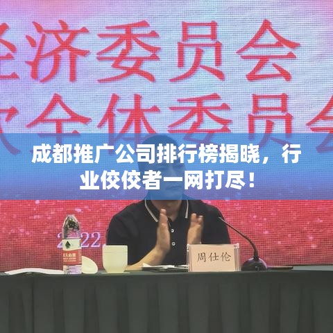 成都推广公司排行榜揭晓,行业佼佼者一网打尽!