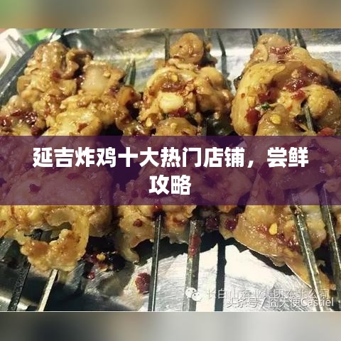 延吉炸鸡十大热门店铺,尝鲜攻略