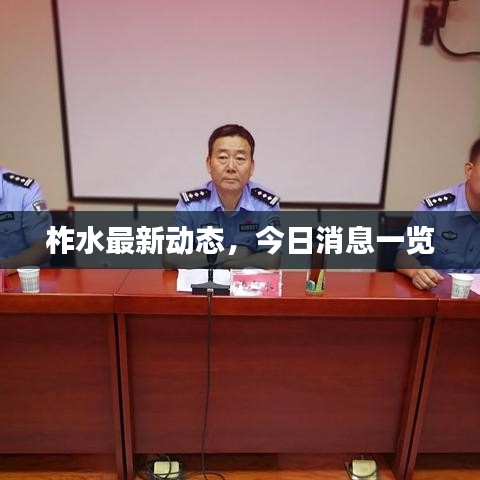 柞水最新动态，今日消息一览