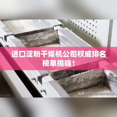 进口淀粉干燥机公司权威排名榜单揭晓！