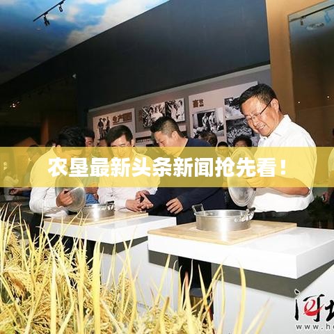 农垦最新头条新闻抢先看!