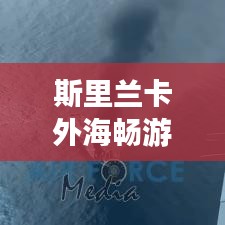 斯里兰卡外海畅游指南，探秘绝美旅行胜地