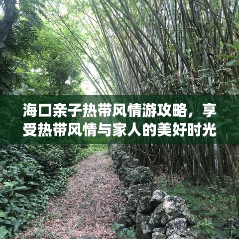海口亲子热带风情游攻略,享受热带风情与家人的美好时光