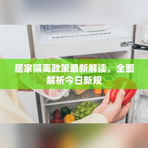 居家隔离政策最新解读,全面解析今日新规