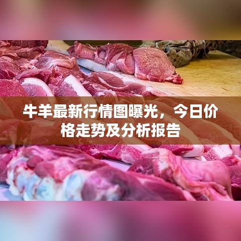 牛羊最新行情图曝光，今日价格走势及分析报告