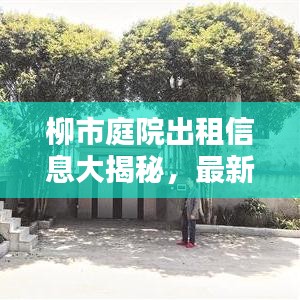 柳市庭院出租信息大揭秘，最新消息一网打尽！