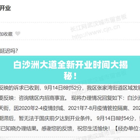 白沙洲大道全新开业时间大揭秘!