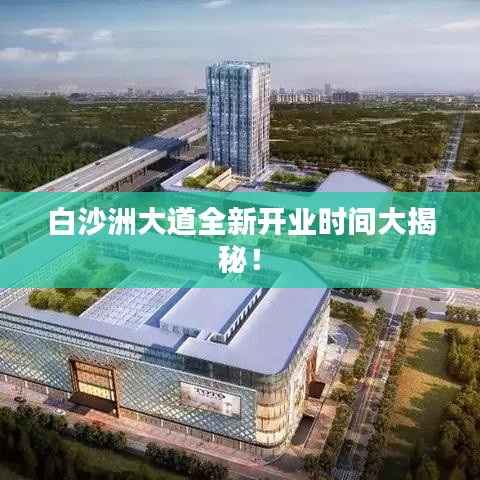 白沙洲大道全新开业时间大揭秘!