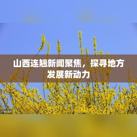 山西连翘新闻聚焦,探寻地方发展新动力
