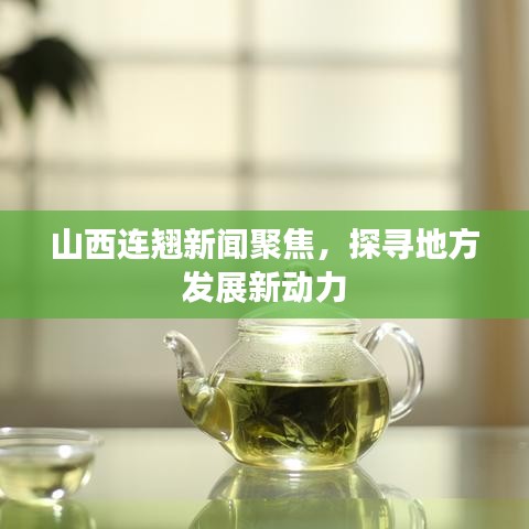 山西连翘新闻聚焦,探寻地方发展新动力