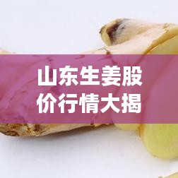 山东生姜股价行情大揭秘,最新价格分析与趋势预测