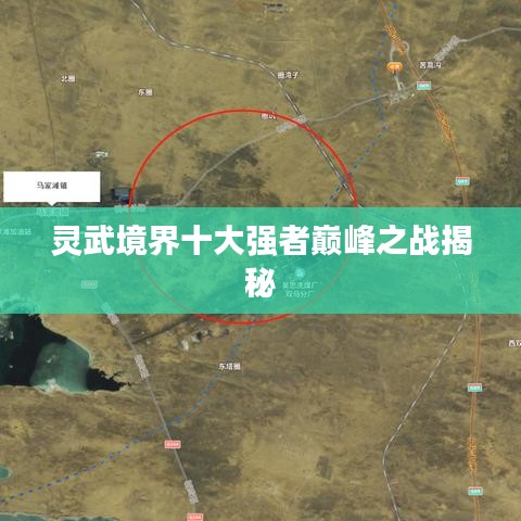 灵武境界十大强者巅峰之战揭秘