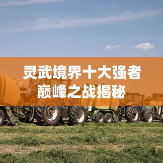 灵武境界十大强者巅峰之战揭秘