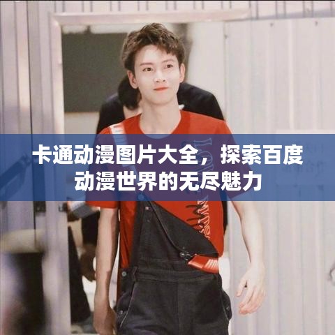 卡通动漫图片大全,探索百度动漫世界的无尽魅力
