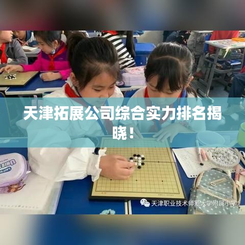 天津拓展公司综合实力排名揭晓!