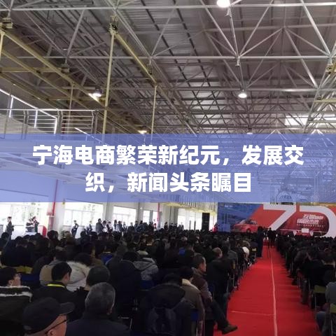 宁海电商繁荣新纪元，发展交织，新闻头条瞩目